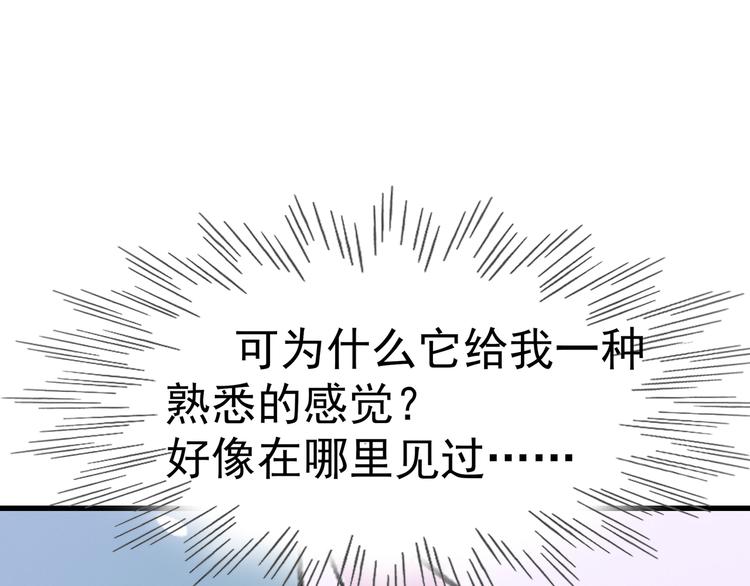 被猫碰瓷了65