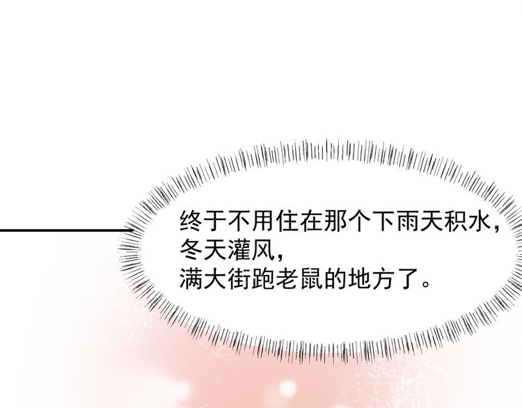 网红猫38