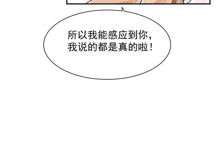 被猫碰瓷了28