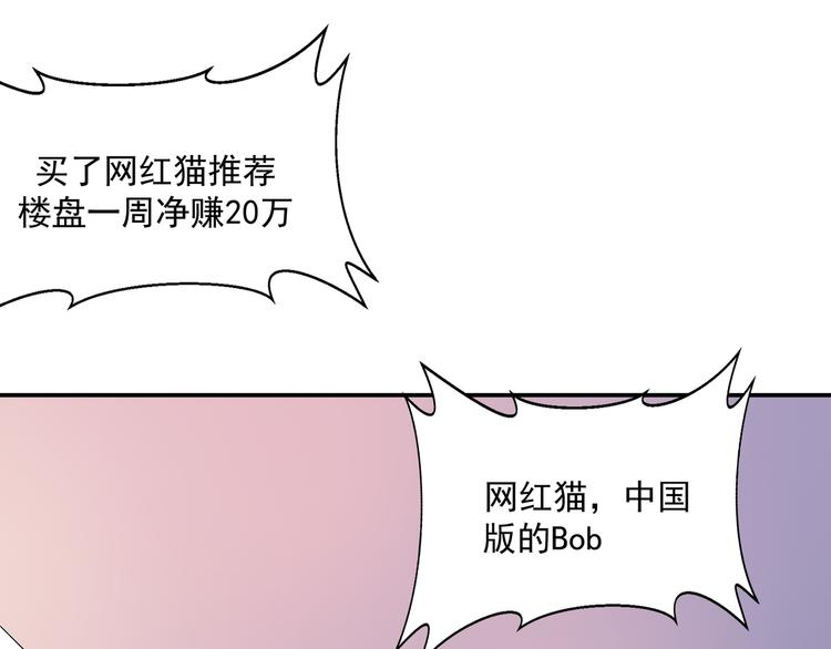 网红猫8