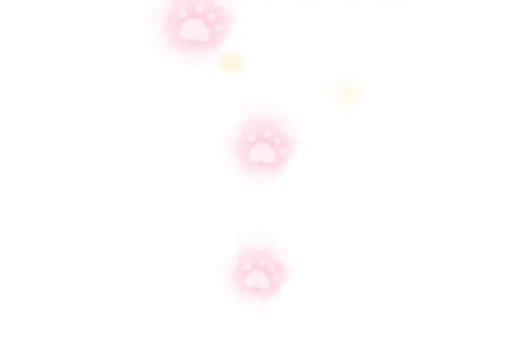 被猫碰瓷了31