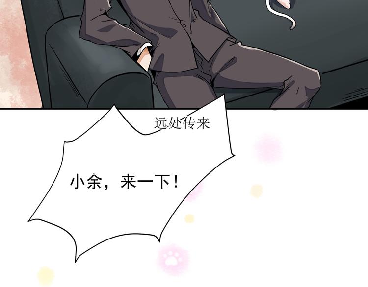 谋害一只猫18