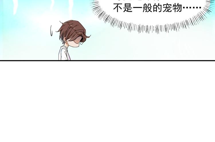被猫碰瓷了40