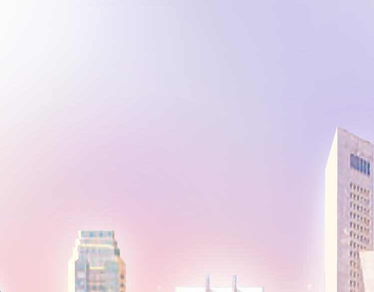 网红猫26