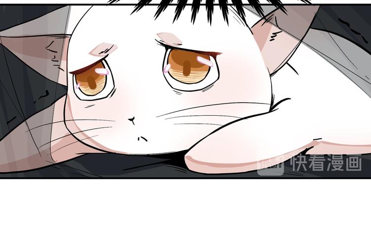 谋害一只猫34