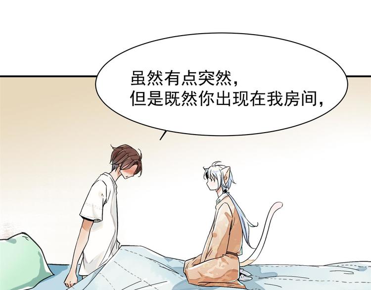 被猫碰瓷了35