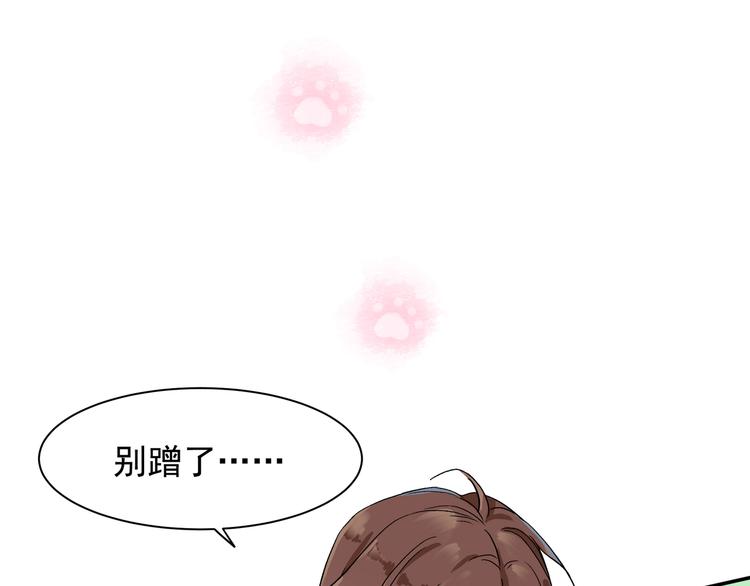 被猫碰瓷了32
