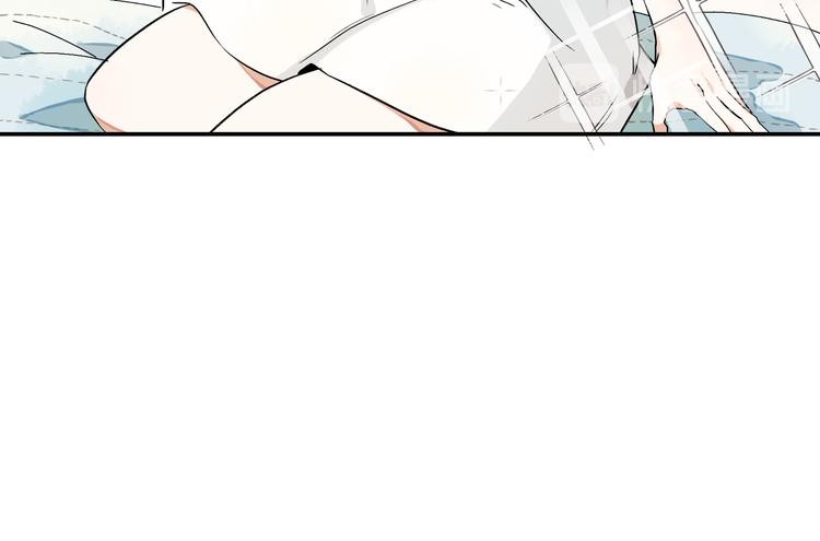 被猫碰瓷了61