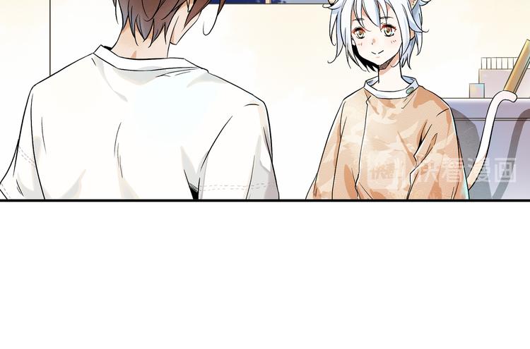 被猫碰瓷了16