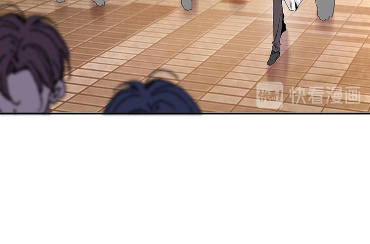网红猫43
