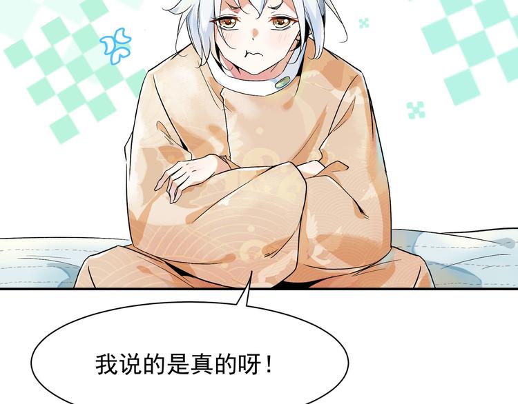 被猫碰瓷了24