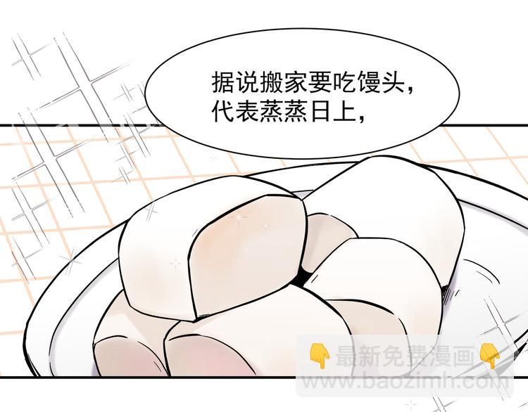 网红猫50