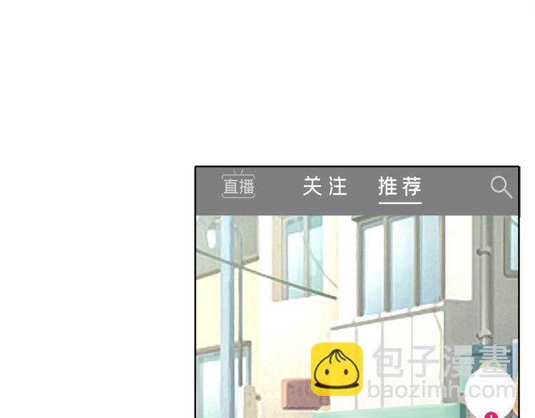 网红猫5