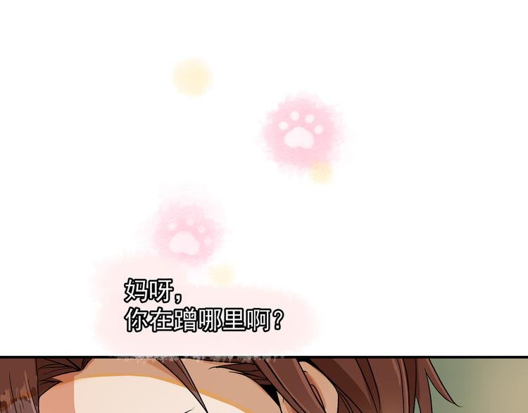 被猫碰瓷了29