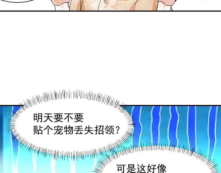被猫碰瓷了39