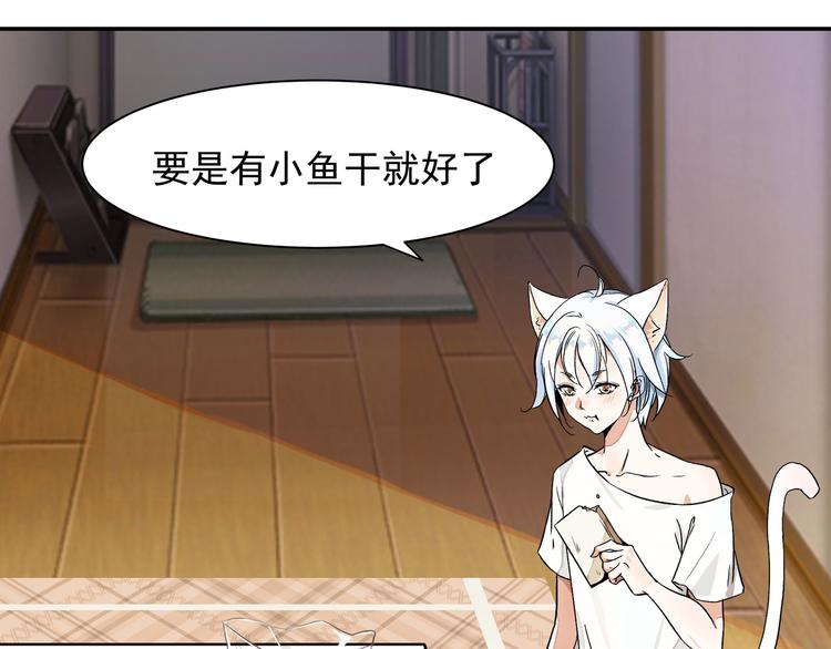 梦回48