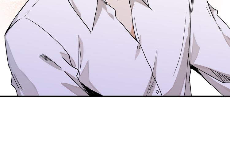 网红猫40