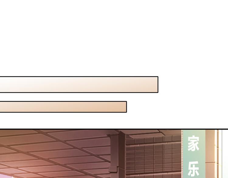 网红猫41