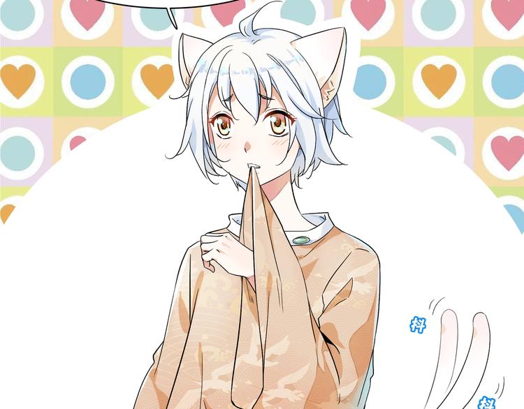 被猫碰瓷了42