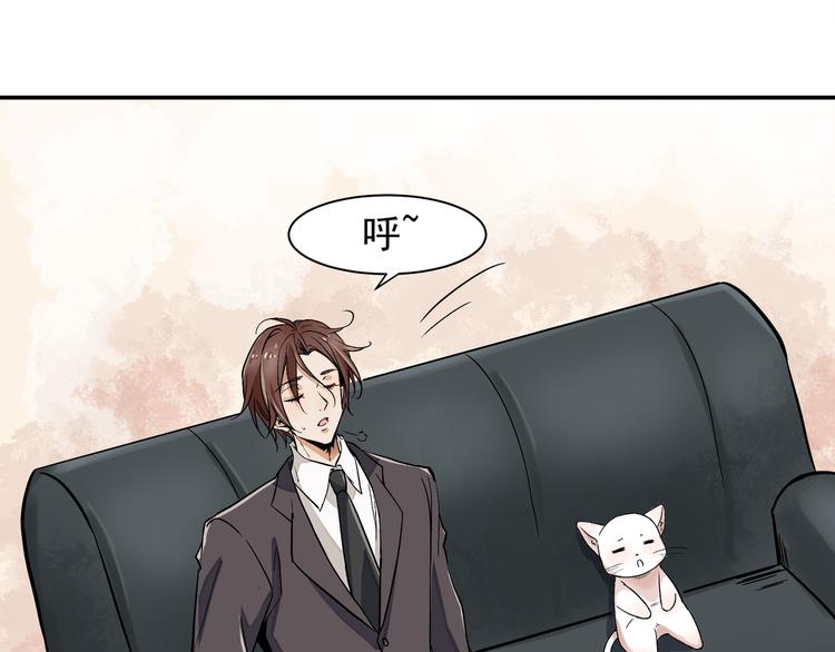 谋害一只猫17