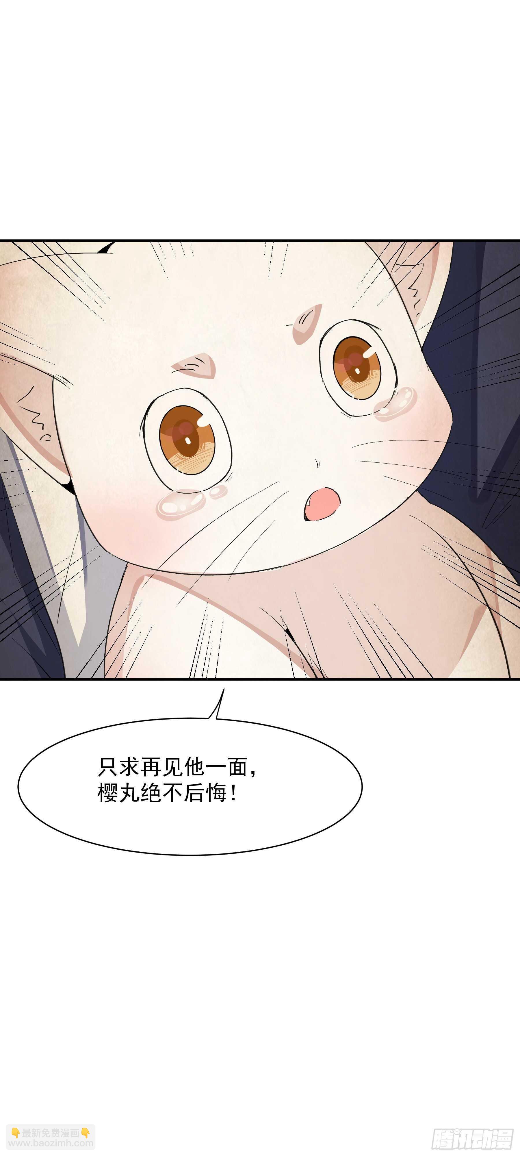 司命与白虎19