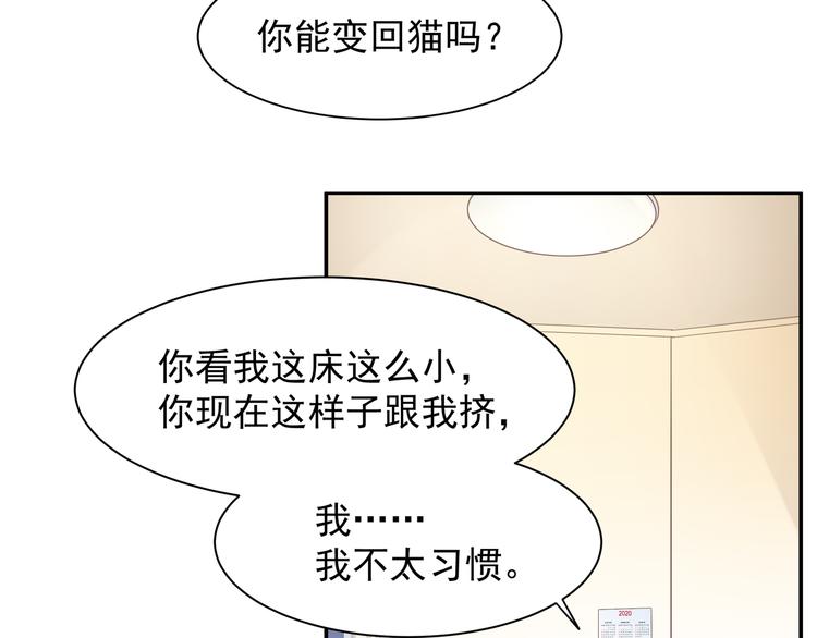 被猫碰瓷了57
