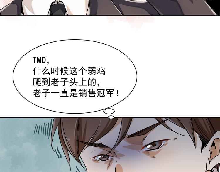 网红猫21