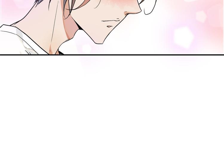 被猫碰瓷了37