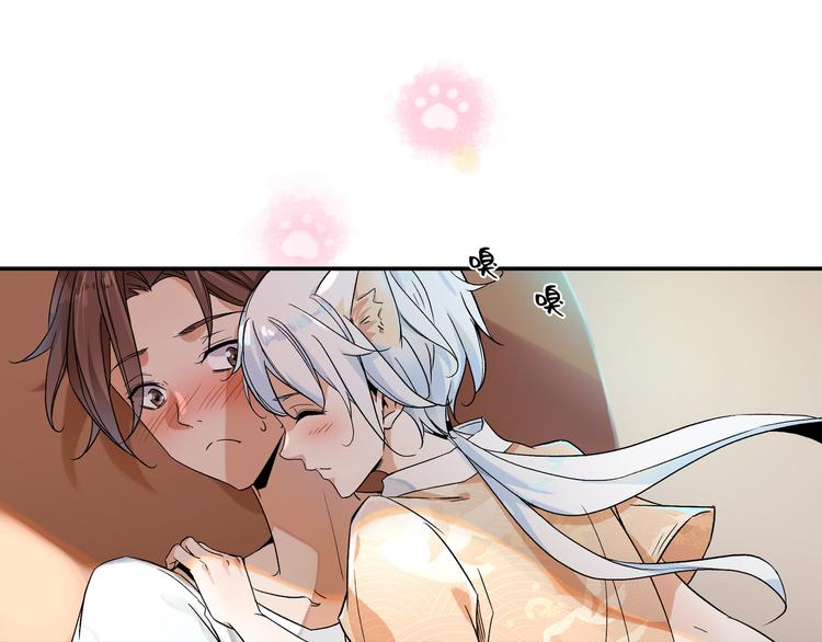 被猫碰瓷了5