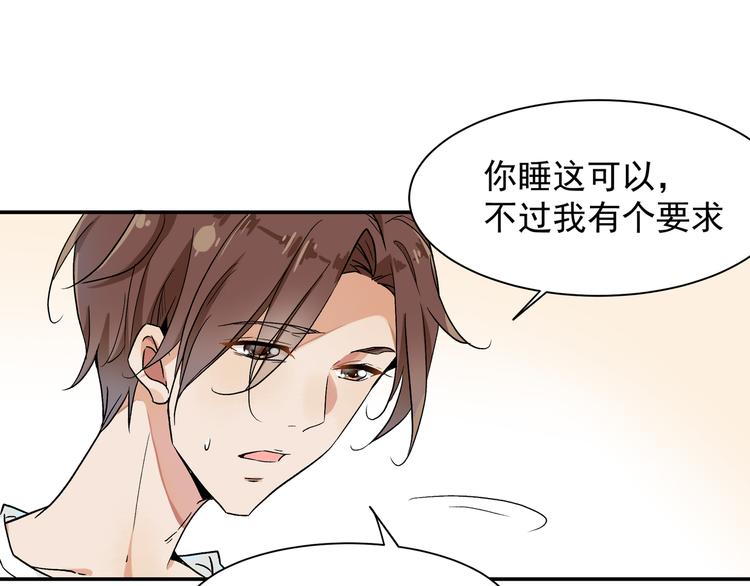 被猫碰瓷了56