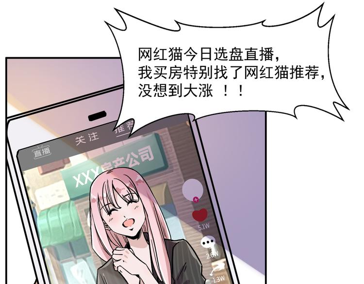 网红猫11
