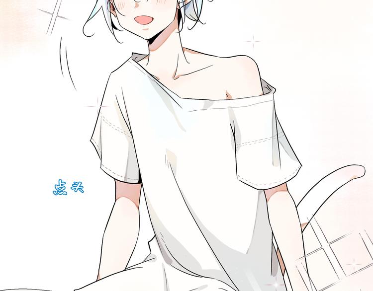 被猫碰瓷了60
