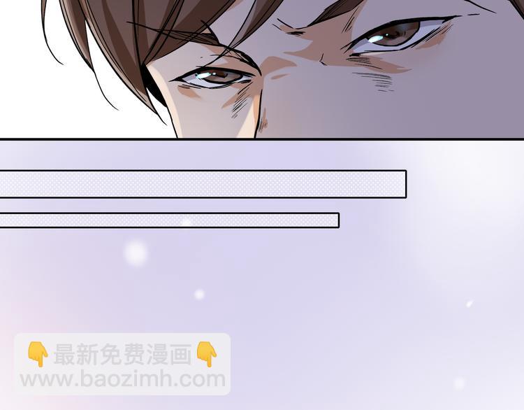 网红猫24