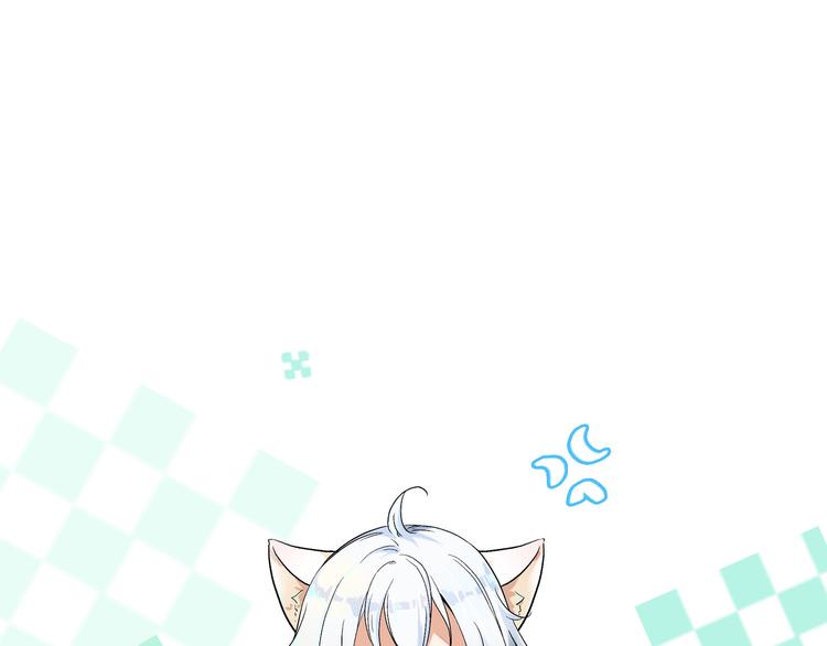 被猫碰瓷了23