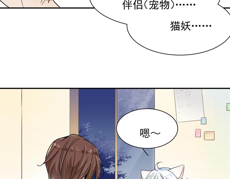 被猫碰瓷了15