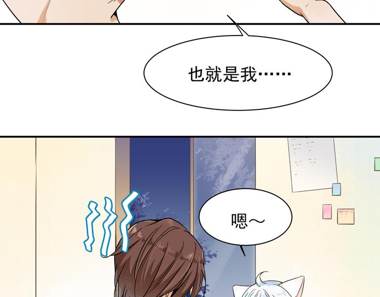 被猫碰瓷了18