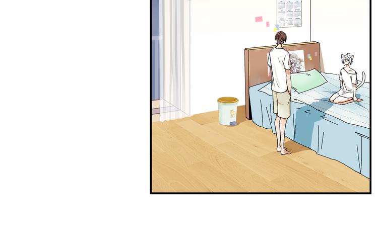 被猫碰瓷了58