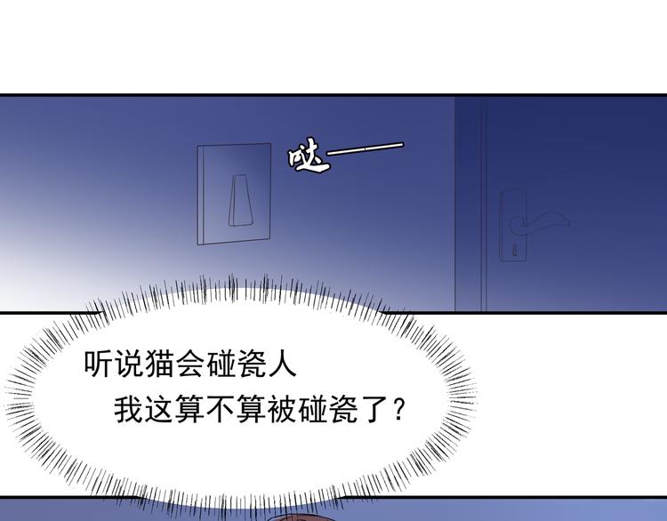 被猫碰瓷了62