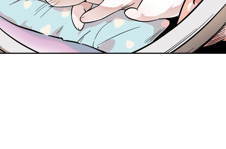 网红猫37