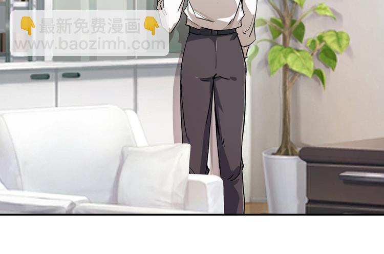 网红猫31