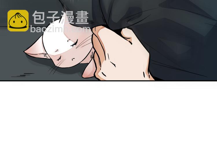 谋害一只猫25
