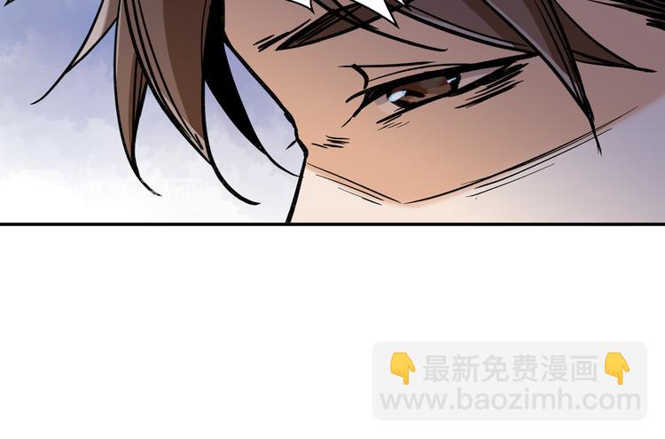 网红猫13