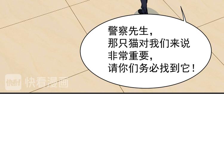 谋害一只猫46