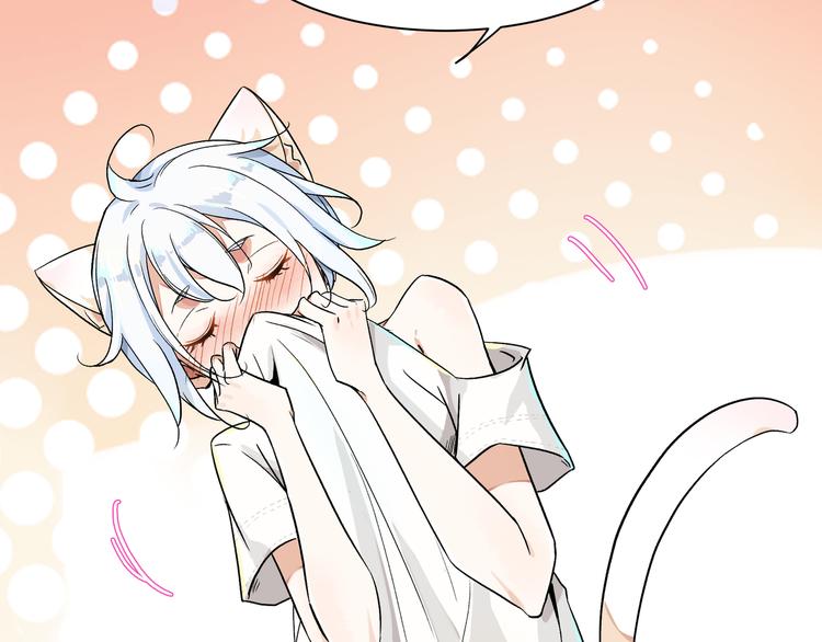 被猫碰瓷了54