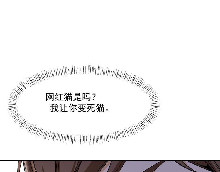 网红猫23