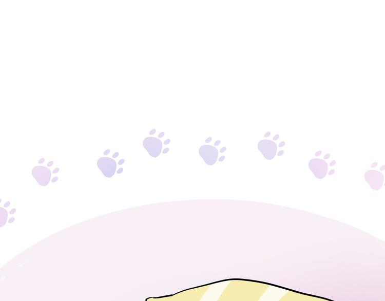 网红猫35