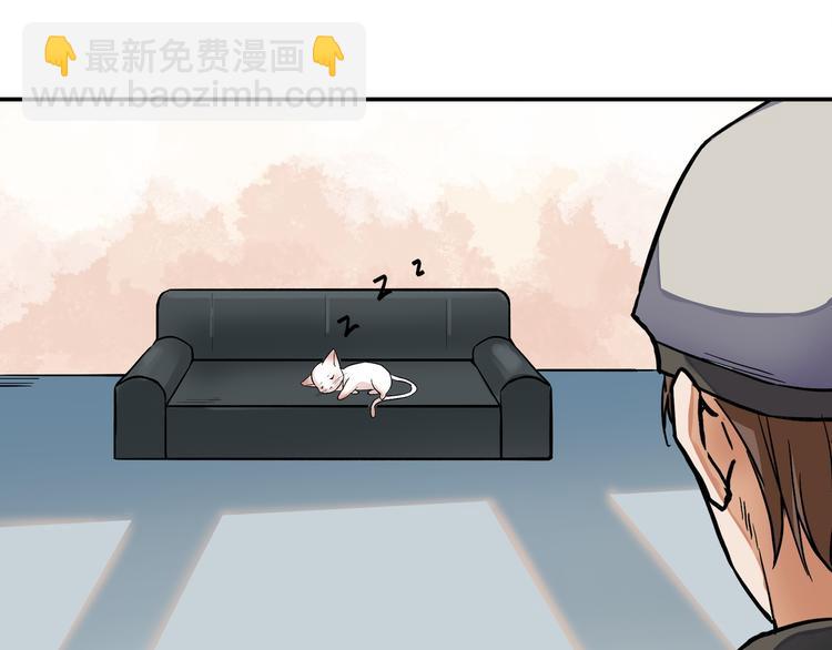 谋害一只猫23