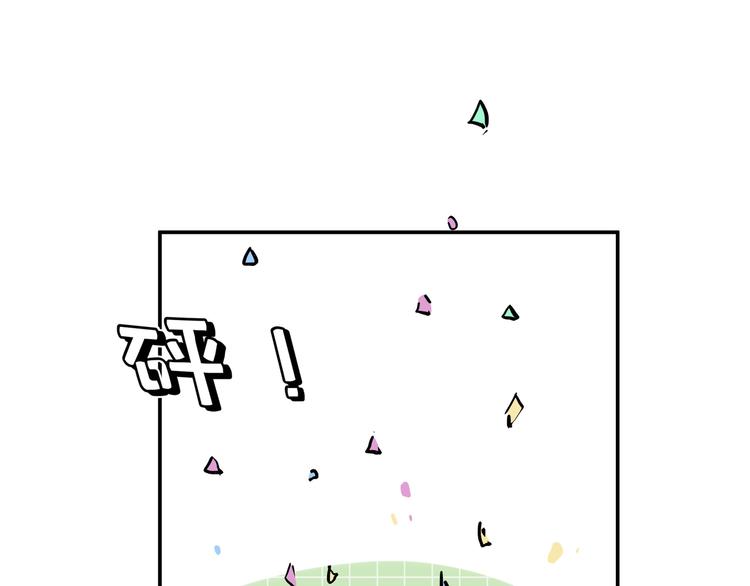 网红猫15
