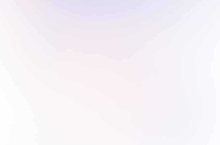 网红猫25