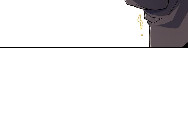 网红猫10